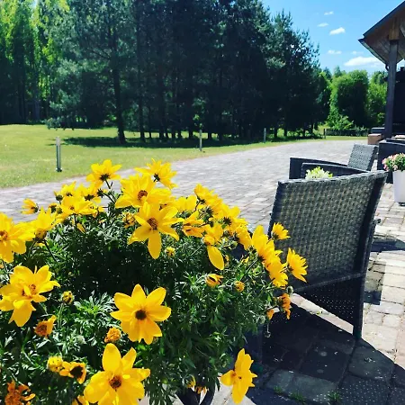 Guest house Dizpriedes *